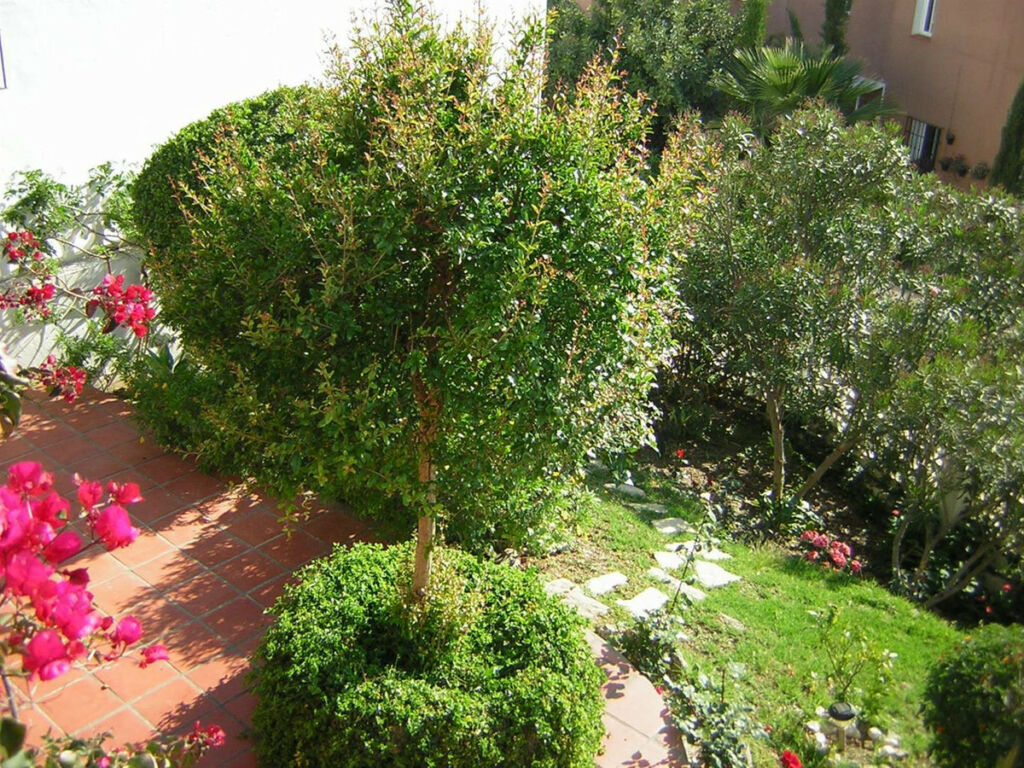 Detached Villa Chilches Málaga - image 17