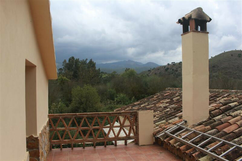 Finca - Cortijo Algodonales Cádiz - image 17