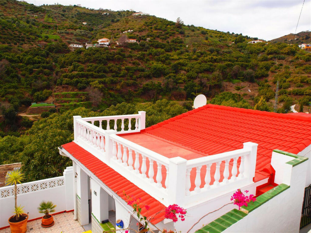 Finca - Cortijo Torrox Málaga - image 18