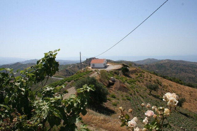 Finca - Cortijo El Borge Málaga - image 18
