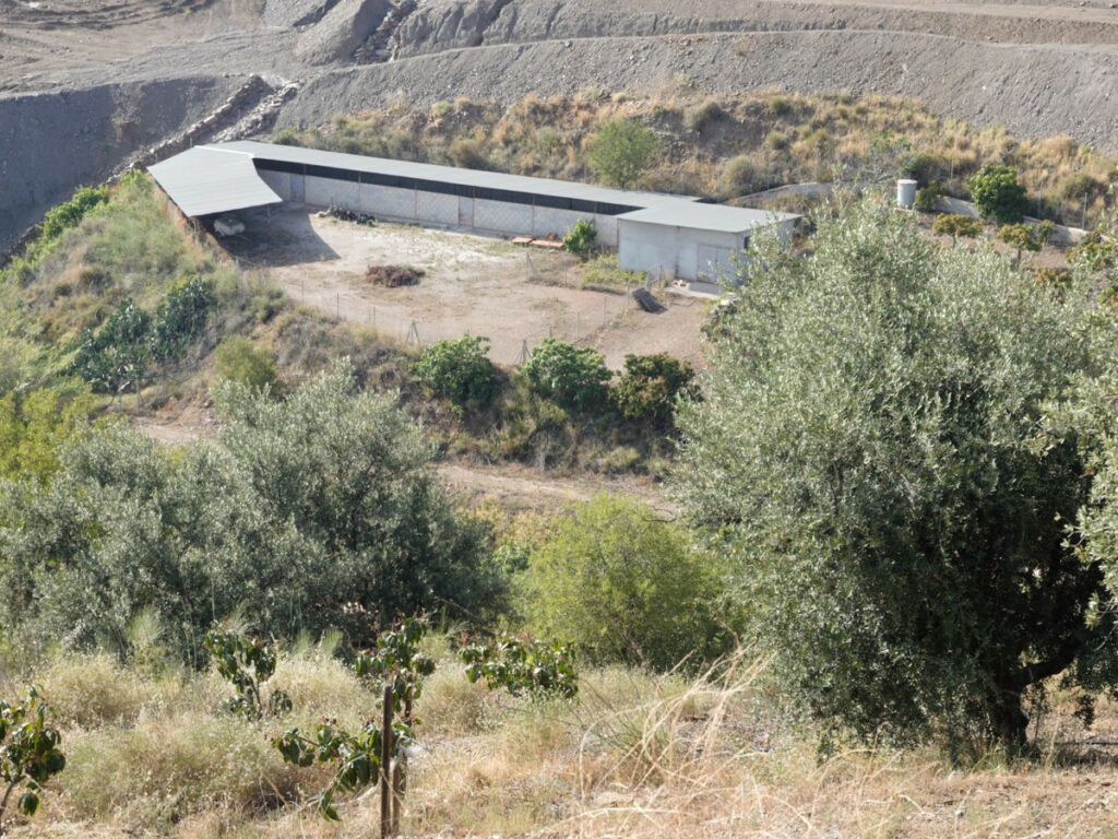 Detached Villa Vélez-Málaga Málaga - image 18