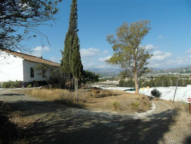 Finca - Cortijo Vélez-Málaga Málaga - image 18