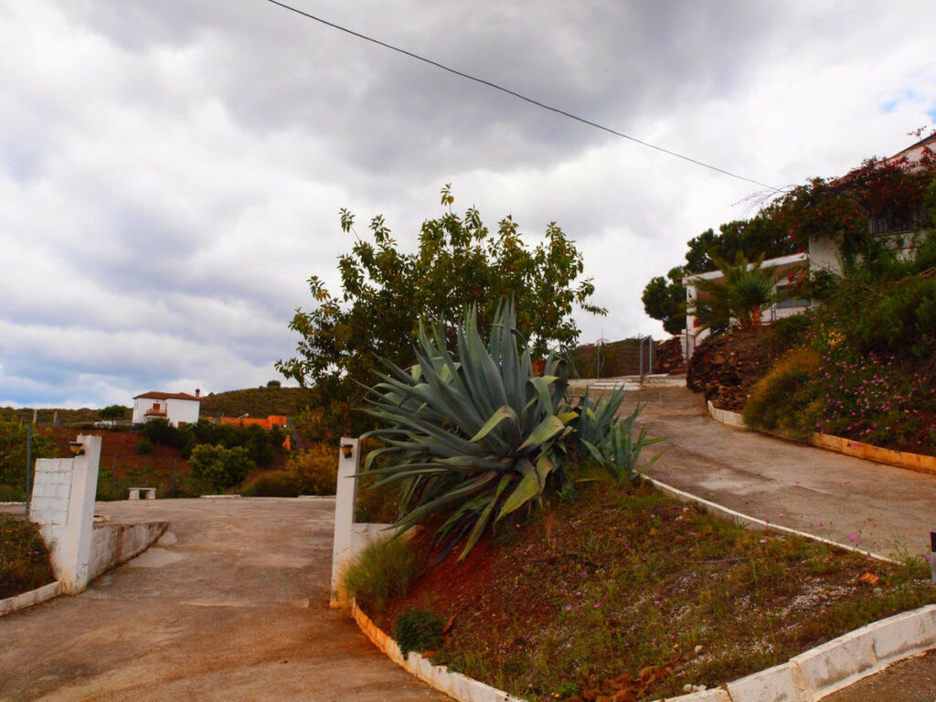Finca - Cortijo Iznate Málaga - image 18