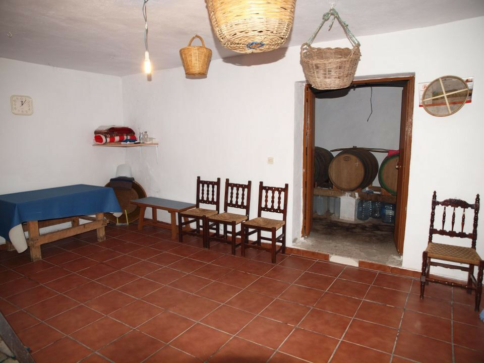 Finca - Cortijo La Viñuela Málaga - image 18