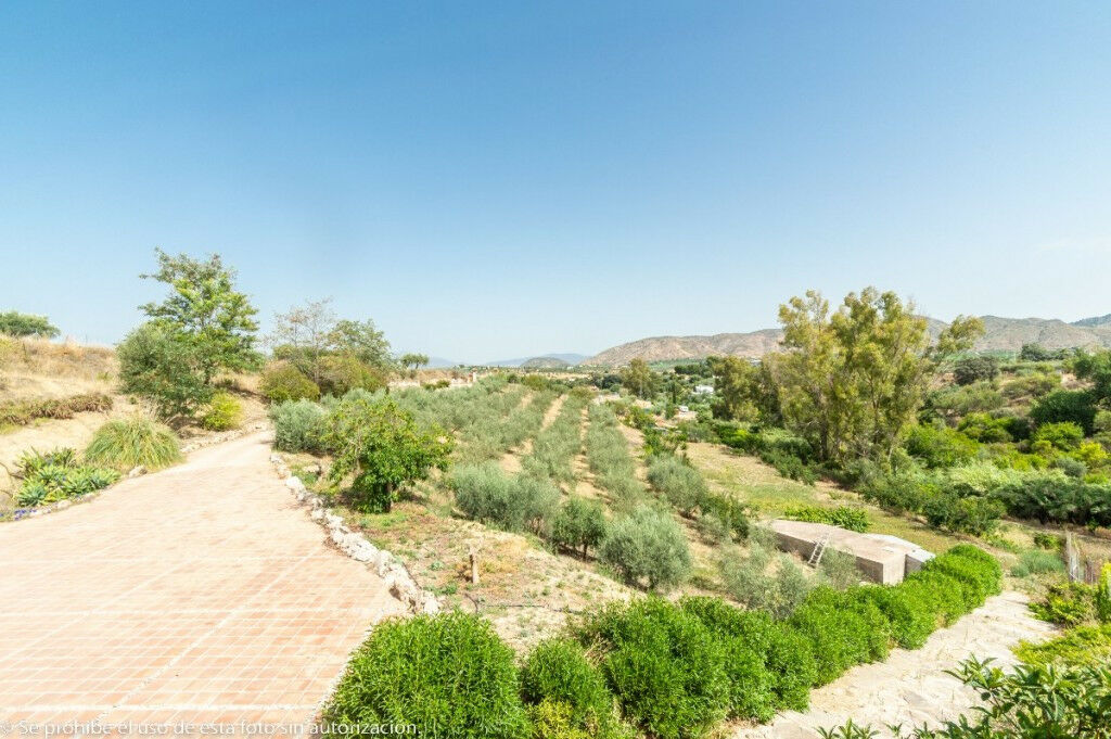 Finca - Cortijo Alhaurín de la Torre Málaga - image 18
