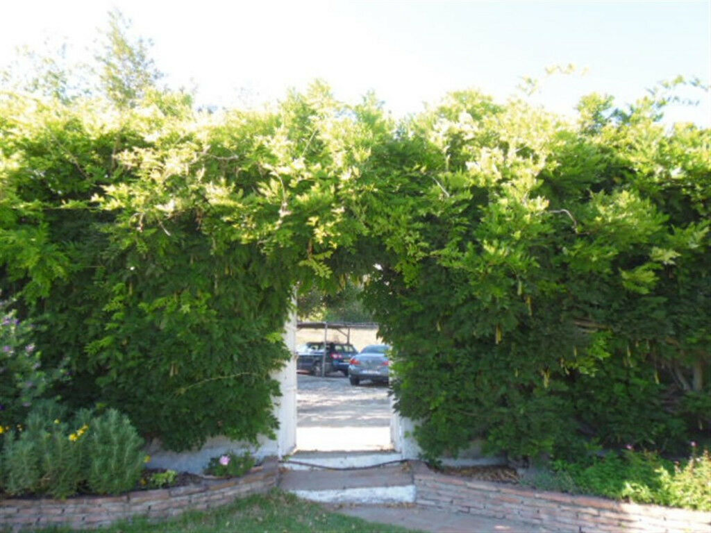 Finca - Cortijo Jimena de la Frontera Cádiz - image 18