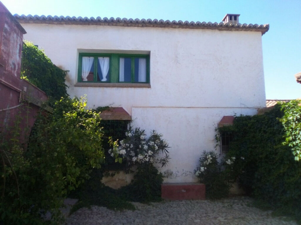 Finca - Cortijo Alcaucín Málaga - image 18