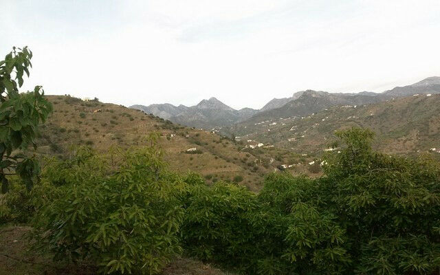 Finca - Cortijo Torrox Málaga - image 18
