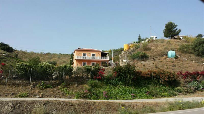 Finca - Cortijo Viñuela Málaga - image 19