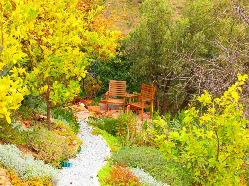 Finca - Cortijo Moclinejo Málaga - image 19