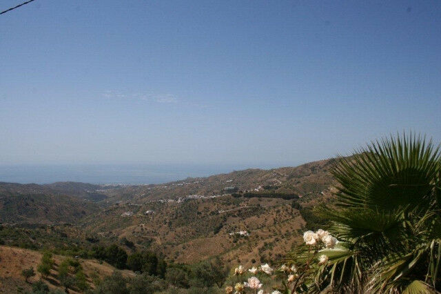 Finca - Cortijo El Borge Málaga - image 19