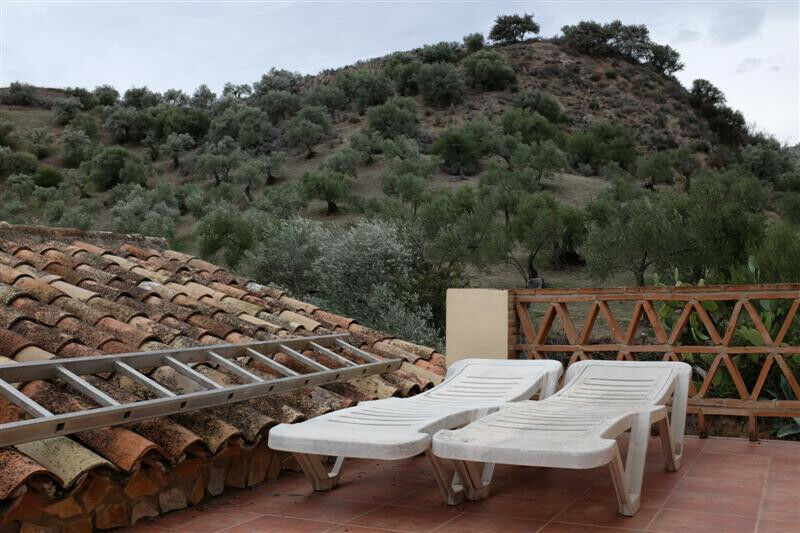 Finca - Cortijo Algodonales Cádiz - image 19