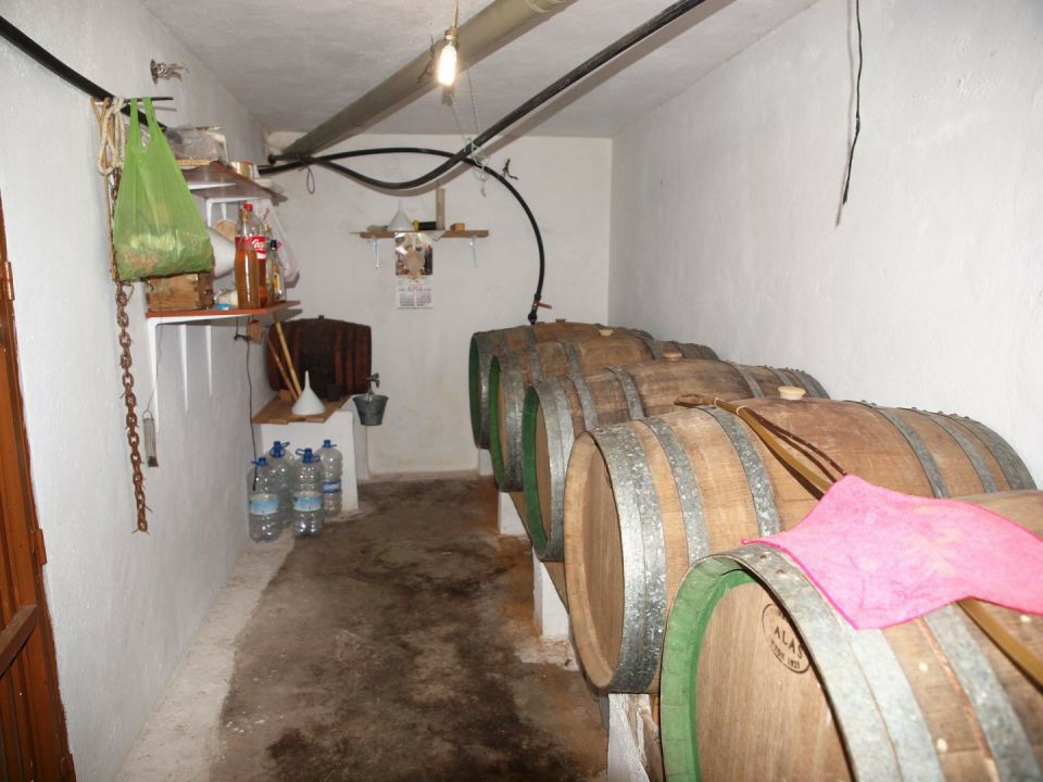 Finca - Cortijo La Viñuela Málaga - image 19