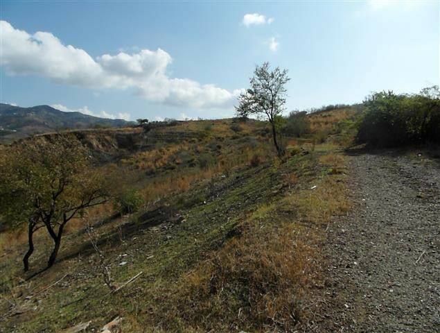 Finca - Cortijo Vélez-Málaga Málaga - image 19