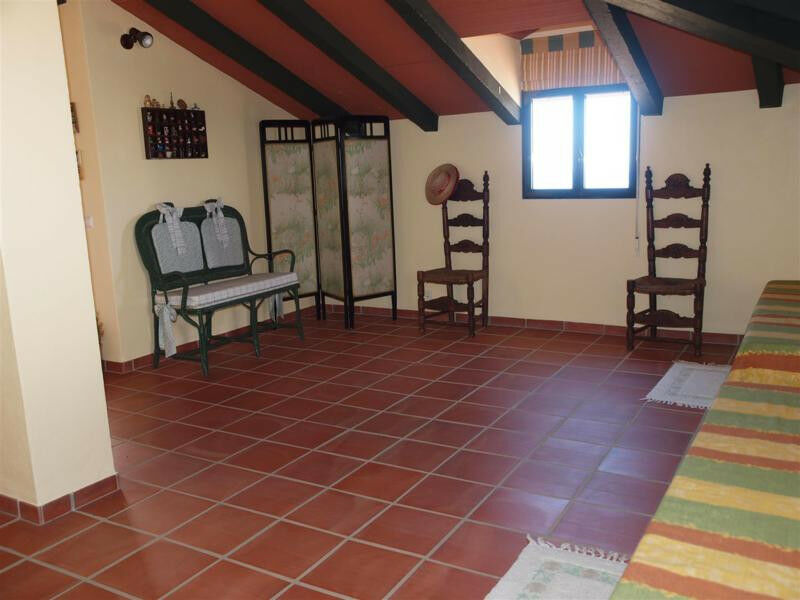 Detached Villa Benajarafe Málaga - image 19