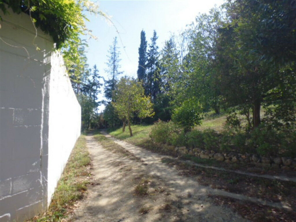Finca - Cortijo Jimena de la Frontera Cádiz - image 19