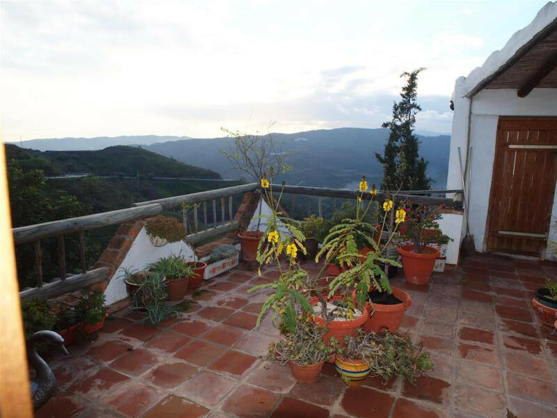 Finca - Cortijo Canillas de Aceituno Málaga - image 19