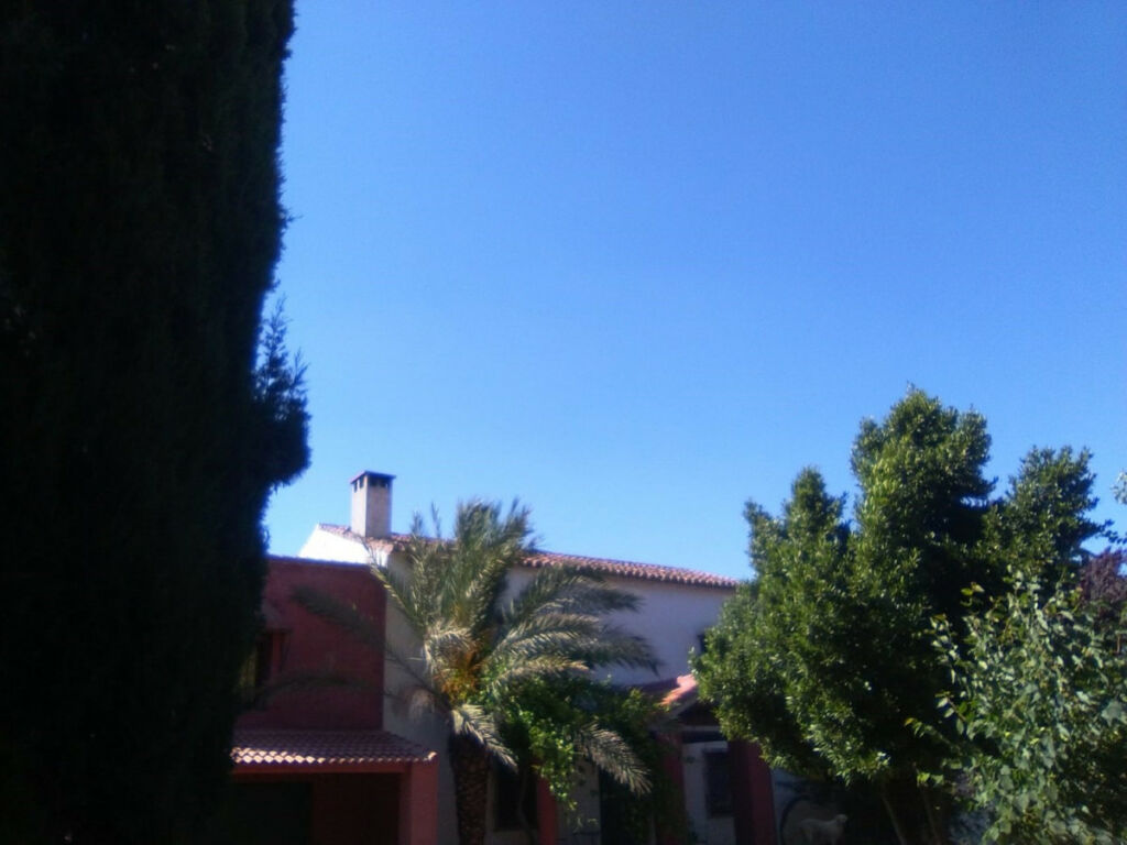 Finca - Cortijo Alcaucín Málaga - image 19