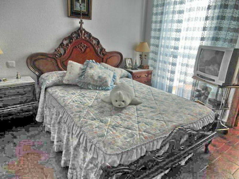 Ground Floor Apartment Benajarafe Málaga - image 19
