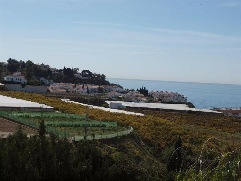 Detached Villa Mezquitilla Málaga - image 19