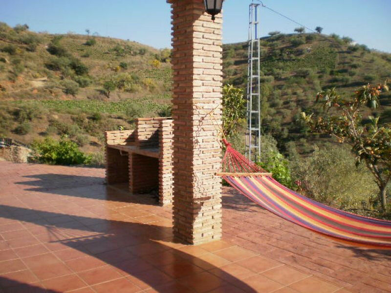 Finca - Cortijo Canillas de Aceituno Málaga - image 19
