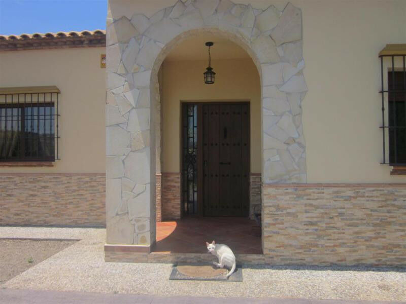 Finca - Cortijo Riogordo Málaga - image 19
