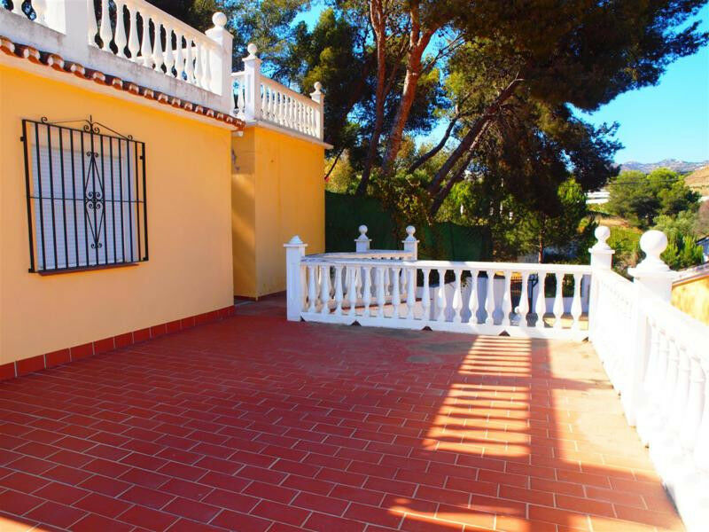 Finca - Cortijo Mezquitilla Málaga - image 19