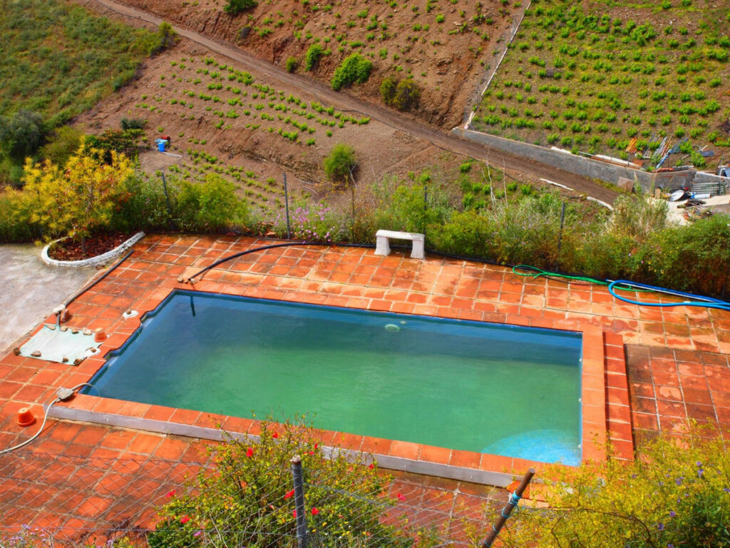 Finca - Cortijo Iznate Málaga - image 2