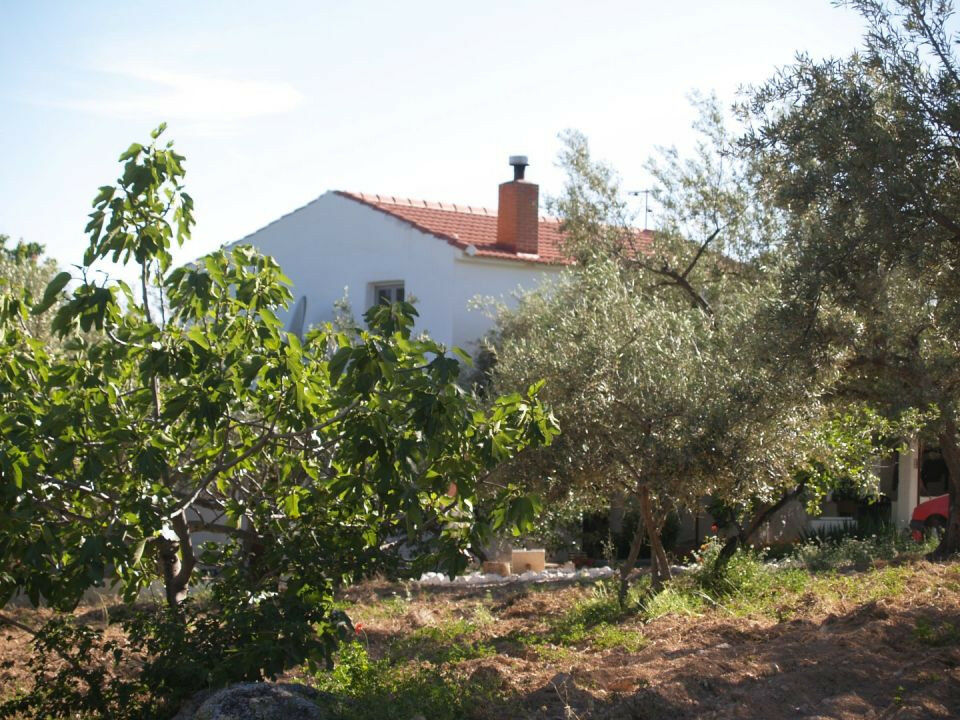 Finca - Cortijo Periana Málaga - image 2