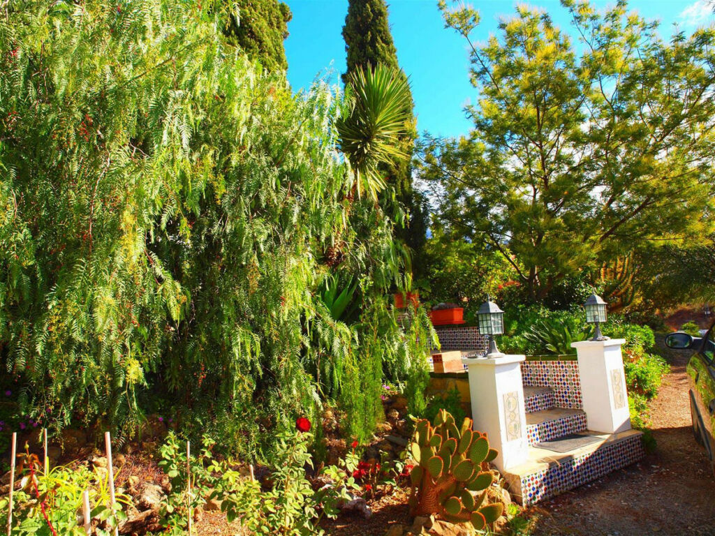 Finca - Cortijo Canillas de Aceituno Málaga - image 2