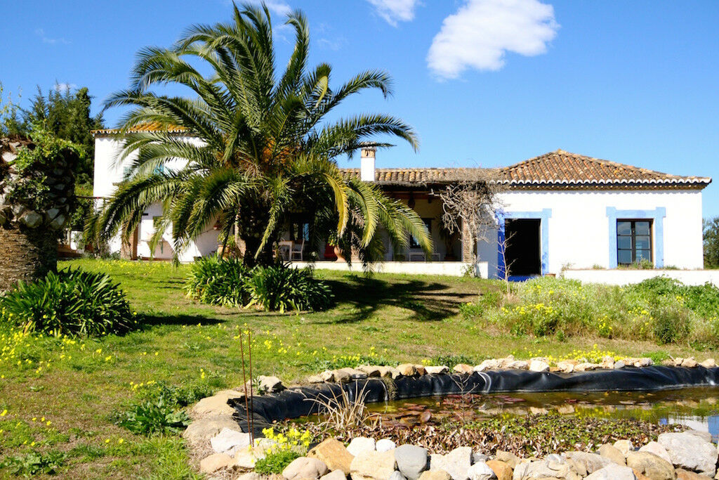 Finca - Cortijo Jimena de la Frontera Cádiz - image 2