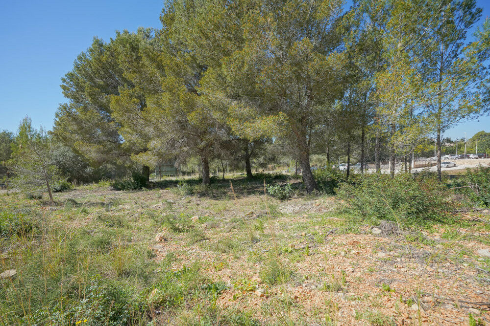 Land Javea Alicante - image 2