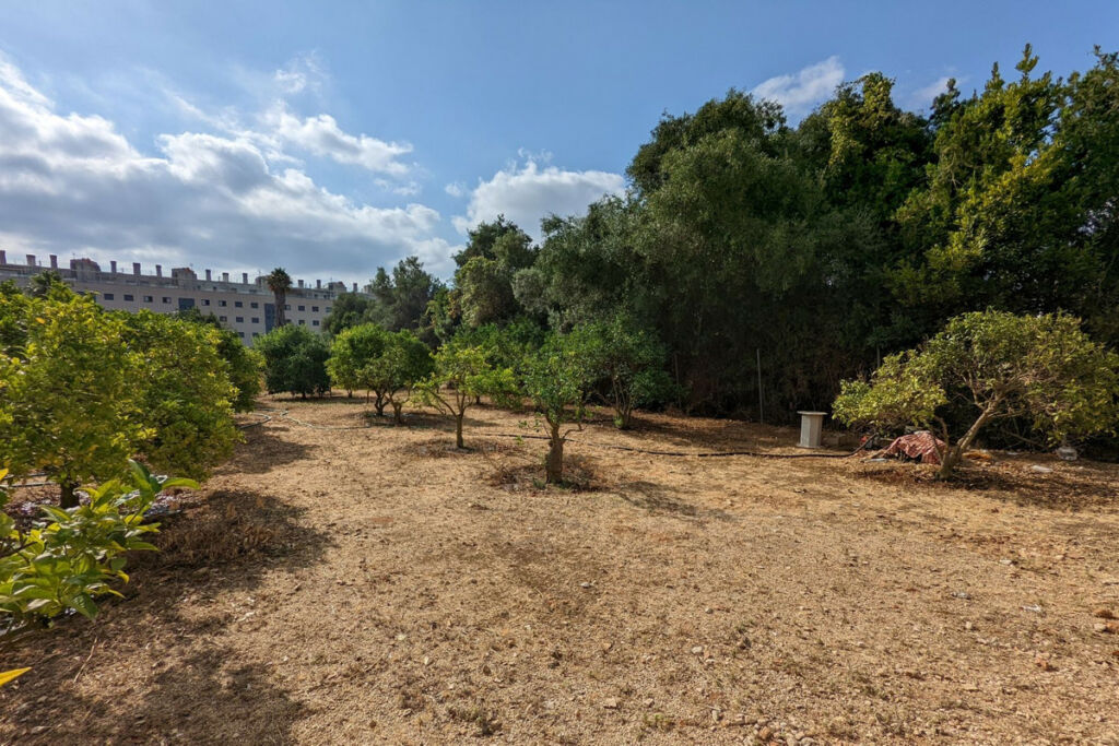 Residential Plot Denia Alicante - image 3