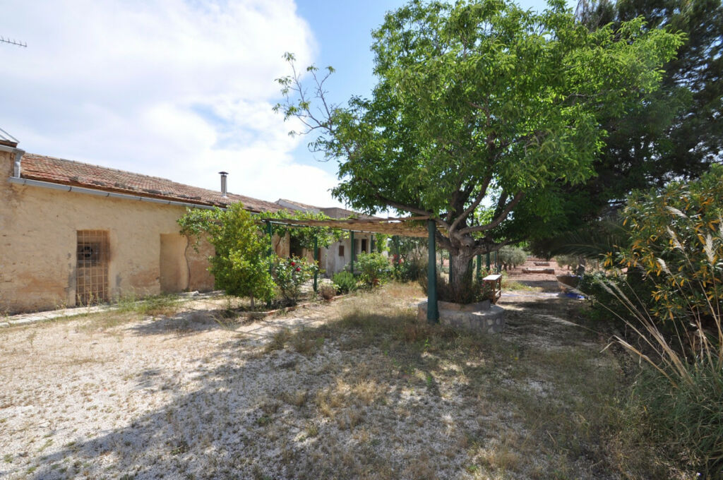 Finca - Cortijo Pinoso Alicante - image 2