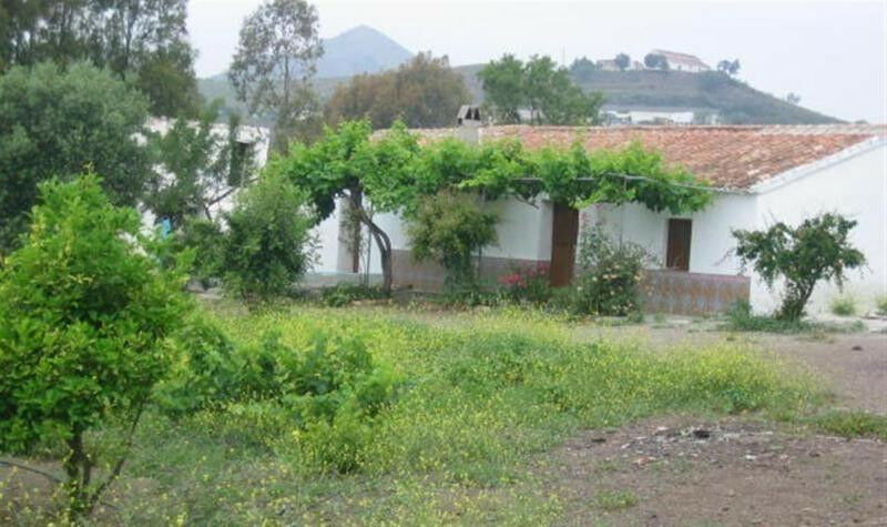 Finca - Cortijo Triana Málaga - image 2