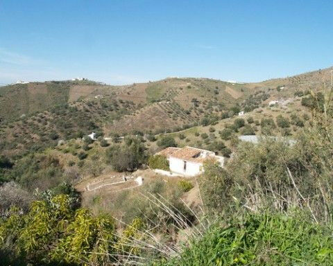 Finca - Cortijo Canillas de Aceituno Málaga - image 2
