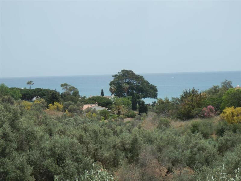 Detached Villa Chilches Málaga - image 2
