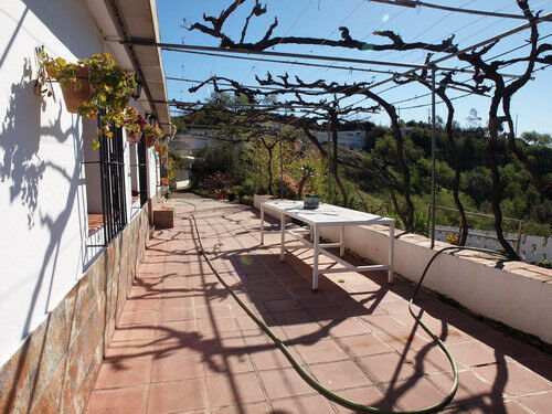 Finca - Cortijo Iznate Málaga - image 2