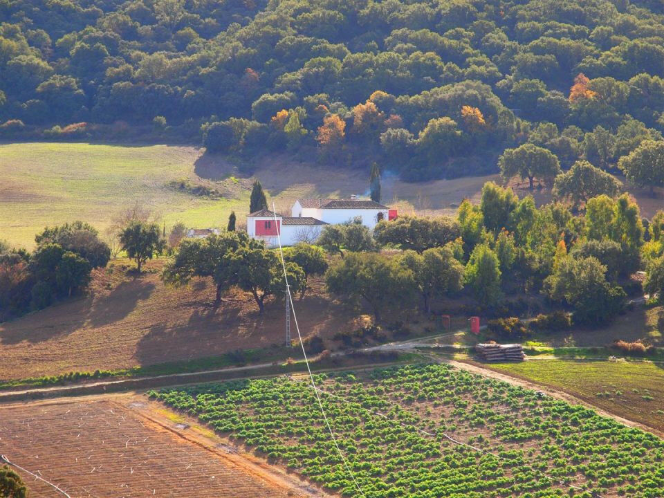 Finca - Cortijo Alcaucín Málaga - image 2