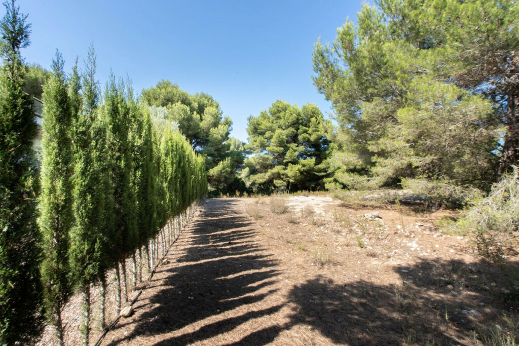 Land Javea Alicante - image 2