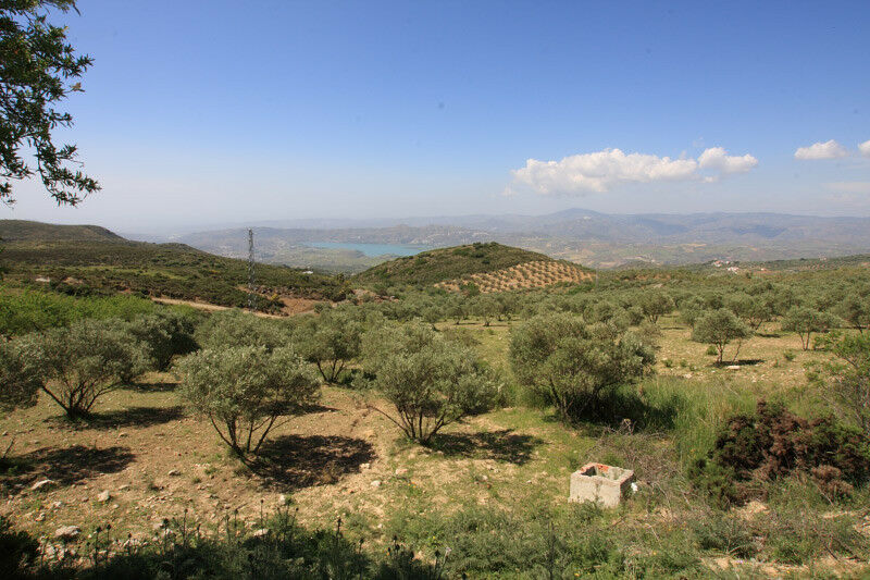 Land Periana Málaga - image 2