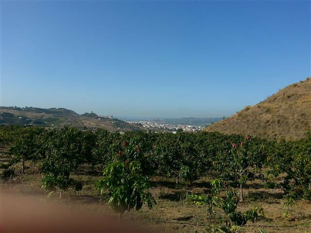 Land Arenas Málaga - image 2