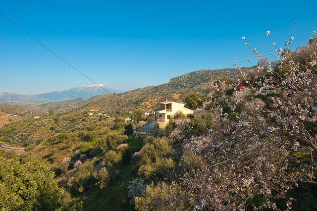 Detached Villa Comares Málaga - image 2