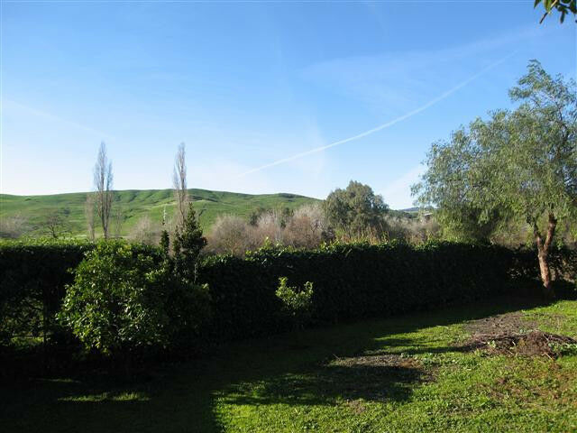 Finca - Cortijo Jimena de la Frontera Cádiz - image 2