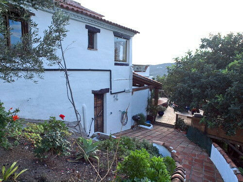 Finca - Cortijo Canillas de Aceituno Málaga - image 2