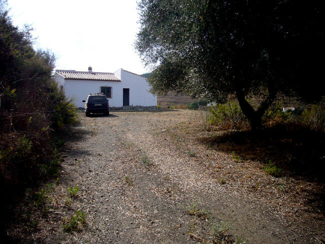 Finca - Cortijo Cómpeta Málaga - image 2