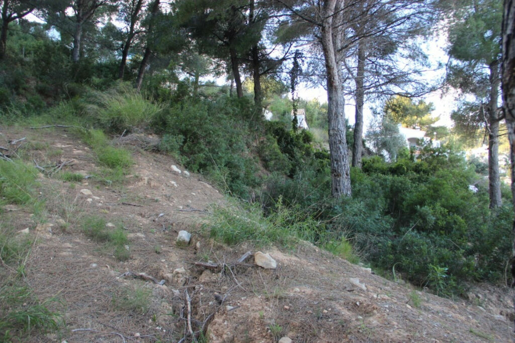 Land Javea Alicante - image 2