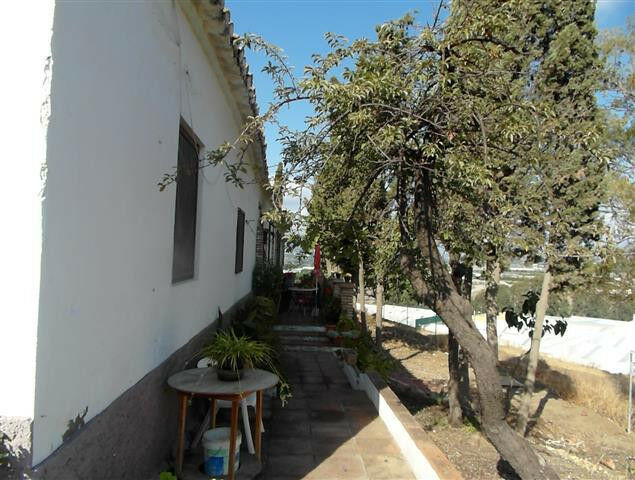 Finca - Cortijo Vélez-Málaga Málaga - image 2
