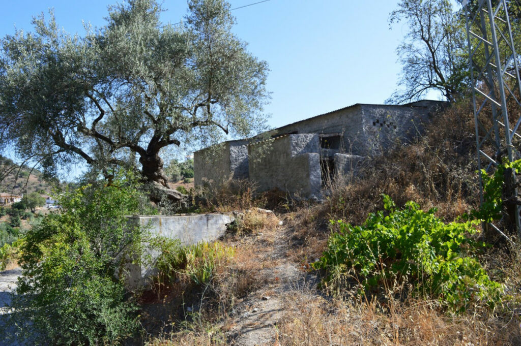 Residential Plot Comares Málaga - image 2