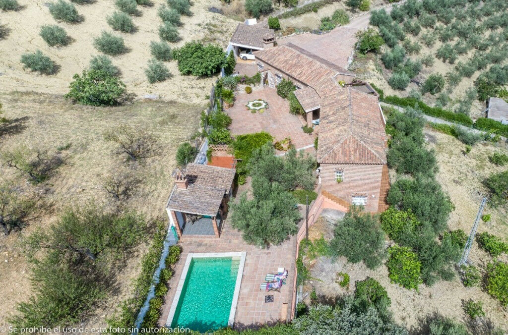 Finca - Cortijo Alhaurín de la Torre Málaga - image 2